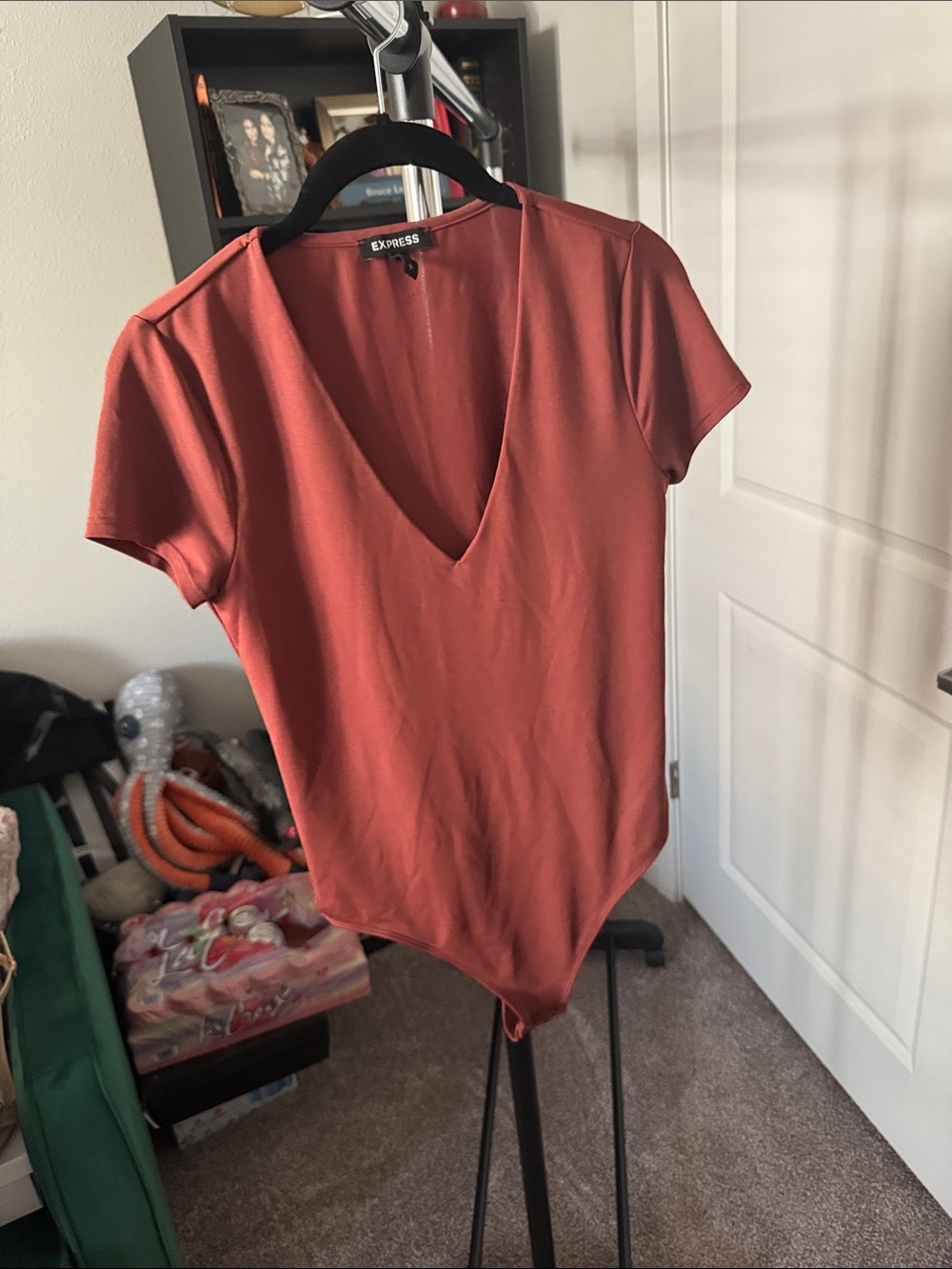 Express Rust Short Sleeve V-Neck Bodysuit